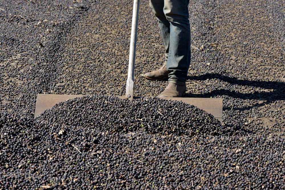 Is a Gravel Driveway Right for Your Property?